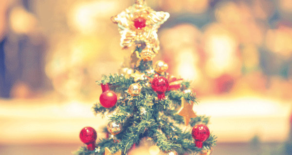 クリスマスツリーでお馴染みのもみの木は、宮崎の健康な家づくりに欠かせない材料です。