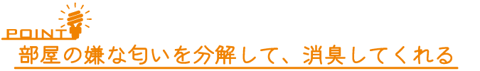 もみの木は部屋の嫌な匂いを分解して、消臭してくれます。