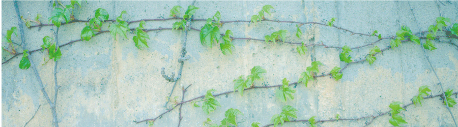 安心をお届けするために保障制度を充実させています